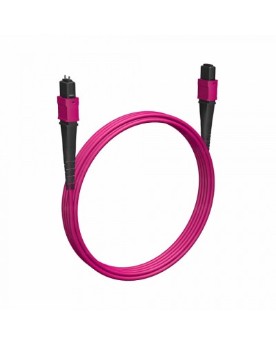 Кабельная сборка MPO(F) -MPO(M)-12 волокон 50/125 OM4, 2 m Cabeus (FOP-50-OM4-12-MPO(F)-12-MPO(M)-B-2m) в Коврове Кабельные сборки (оптические) Pintop.ru