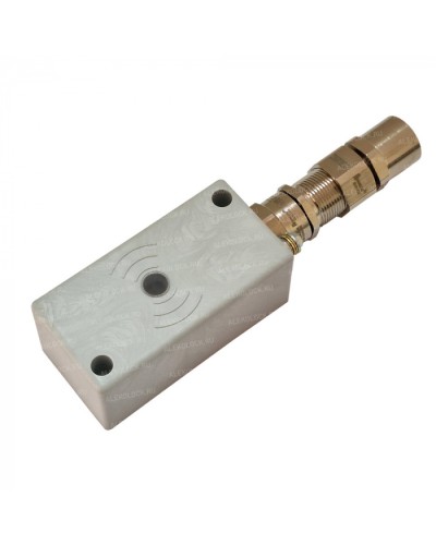 Считыватель взрывозащищенный ALeko ALM-RD-S08-FM-RMFEH-T в Коврове Считыватели Pintop.ru