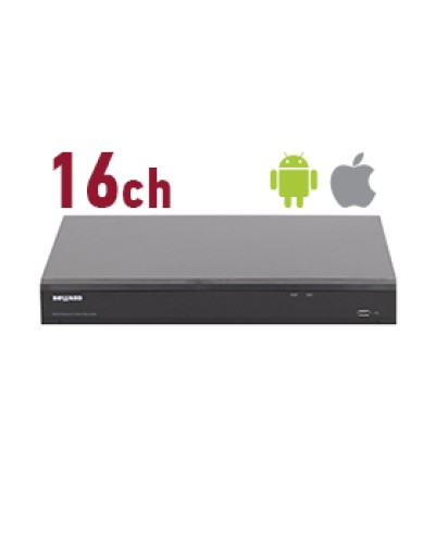 IP-видеорегистратор Beward RK2216 в Коврове Системы видеонаблюдения Pintop.ru