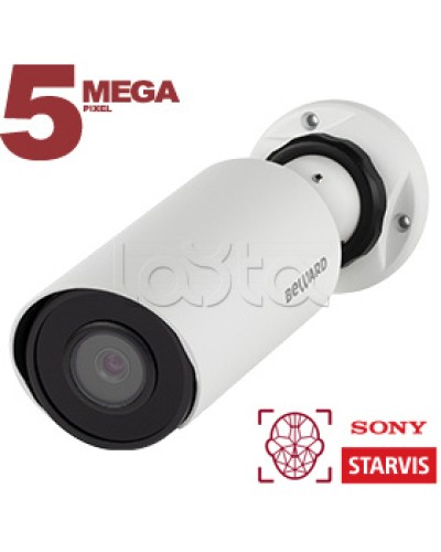 IP-камера видеонаблюдения в стандартном исполнении Beward SV3218R2 2.8 в Коврове IP-камеры Pintop.ru