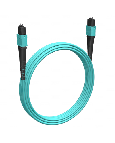 Кабельная сборка MPO(M) -MPO(M)-12 волокон 50/125 OM3, 1 m Cabeus (FOP-50-OM3-12-MPO(M)-12-MPO(M)-B-1m) в Коврове Кабельные сборки (оптические) Pintop.ru