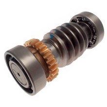 Червяк FROG Came 119RIA016