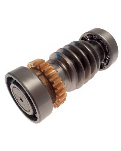 Червяк FROG Came 119RIA016 в Коврове Запчасти для шлагбаумов и автоматики Pintop.ru