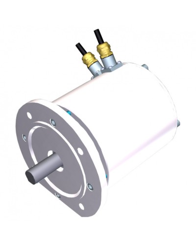 Электродвигатель FROG-MS Came 119RIA081 в Коврове Запчасти для шлагбаумов и автоматики Pintop.ru