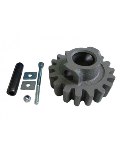 Шестерня ведущая ВК Came 119RIBK002 в Коврове Запчасти для шлагбаумов и автоматики Pintop.ru