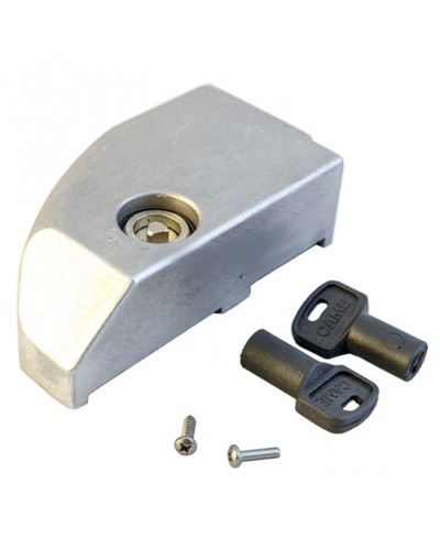 Дверца замка разблокировки BK Came 119RIBK012 в Коврове Запчасти для шлагбаумов и автоматики Pintop.ru