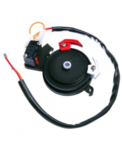 Концевые микровыключатели в сборе BX-243 Came 119RIBX041 в Коврове Запчасти для шлагбаумов и автоматики Pintop.ru