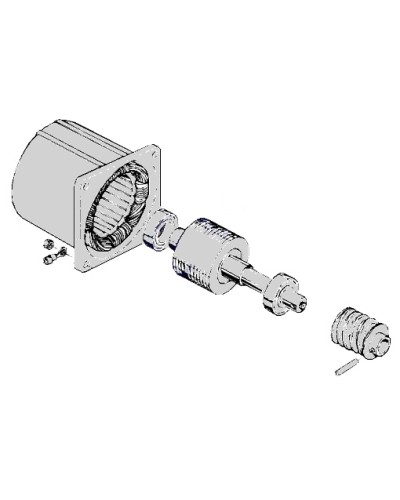 Электродвигатель С-100 Came 119RIC052 в Коврове Запчасти для шлагбаумов и автоматики Pintop.ru