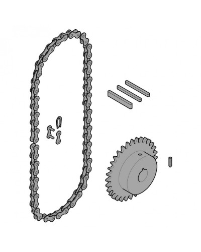 Передающая система (цепь и звездочки) C005 Came 119RICX016 в Коврове Запчасти для шлагбаумов и автоматики Pintop.ru