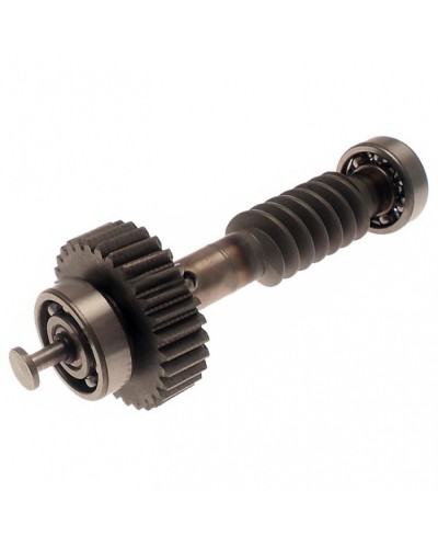 Червяк редуктора FAST в сборе Came 119RID228 в Коврове Запчасти для шлагбаумов и автоматики Pintop.ru