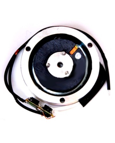 Электромагнит BY1500T Came 119RIY034 в Коврове Запчасти для шлагбаумов и автоматики Pintop.ru