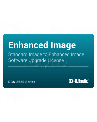 ПО D-Link DGS-3630-28PC-SE-LIC в Коврове Беспроводное оборудование Pintop.ru