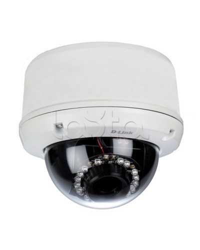 IP-камера видеонаблюдения уличная купольная D-Link DCS-6510/EP в Коврове IP-камеры Pintop.ru