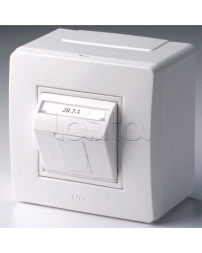 Коробка в сборе с 1 розеткой RJ45, кат.5е (телефон / компьютер), белая DKC 10665 в Коврове Распределительные коробки Pintop.ru