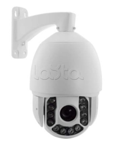 IP-камера видеонаблюдения купольная EverFocus ACE-ATE2033 в Коврове IP-камеры Pintop.ru