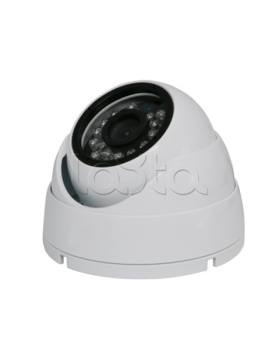 Камера видеонаблюдения купольная EverFocus ACE-IAB20XHD в Коврове Аналоговые камеры Pintop.ru