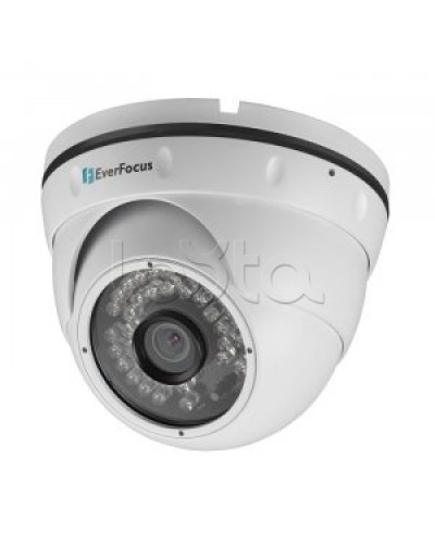 IP-камера видеонаблюдения купольная EverFocus ACE-IAV30 в Коврове IP-камеры Pintop.ru