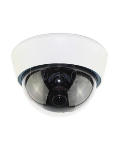 IP-камера видеонаблюдения купольная EverFocus ACE-IOV20A в Коврове IP-камеры Pintop.ru