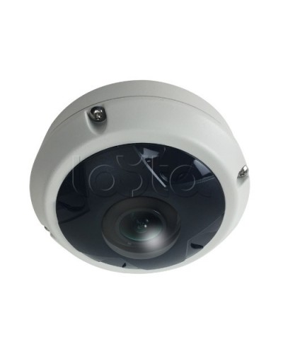 IP-камера видеонаблюдения купольная EverFocus ACE-KU89F в Коврове IP-камеры Pintop.ru