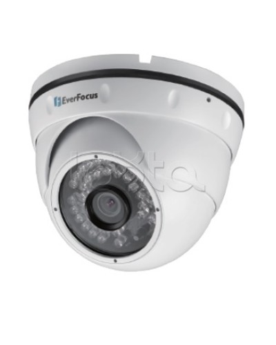 IP-камера видеонаблюдения уличная купольная EverFocus EBN-268 в Коврове IP-камеры Pintop.ru