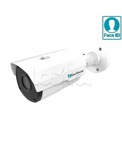 IP-камера видеонаблюдения в стандартном исполнении EverFocus EZN-2850 в Коврове IP-камеры Pintop.ru
