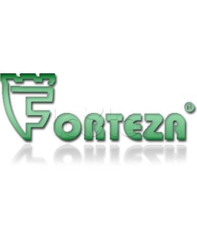 Плата сменная Forteza Плата БГр-4 в Коврове Устройства защиты операционных процессоров (ОПС) Pintop.ru