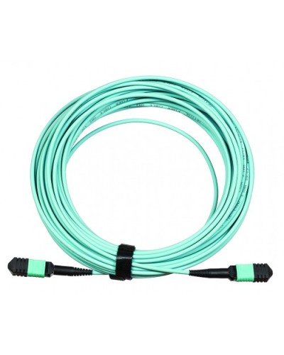 Сборка кабельная LANMASTER (LAN-12M-12M/OM3B-2.0) в Коврове Коннекторы Pintop.ru