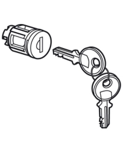 Цилиндр встроенный под ключ №405 Legrand 020291 в Коврове Дополнительное оборудование для сетей Pintop.ru