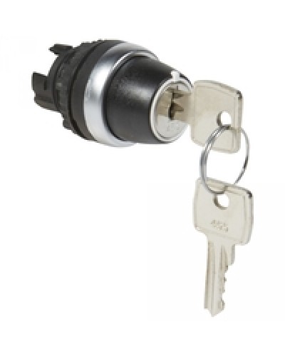 Переключатель с ключом № 455 Osmoz для комплектации без подсветки Legrand 023955 в Коврове Дополнительное оборудование для СКУД Pintop.ru