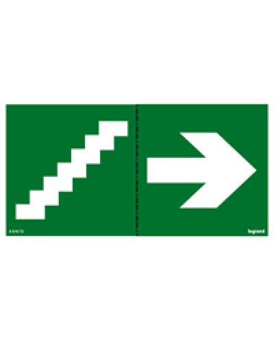 Пиктограмма 100х200 лестница стрелка Legrand 661672 в Коврове Дополнительное оборудование для ОПС Pintop.ru