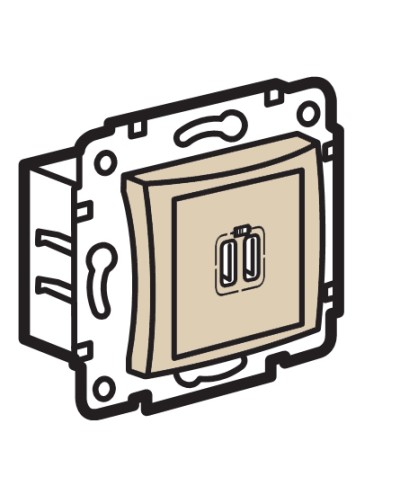 Устройство зарядное с коннекторами USB Legrand (774170) в Коврове Аксессуары для кабель-канала Pintop.ru