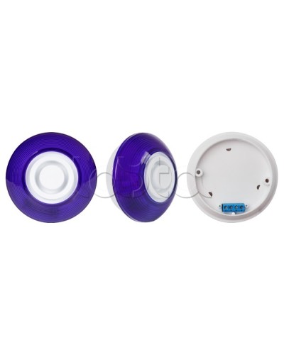 Оповещатель комбинированный SLT Марс 12-КП (строб, син) в Коврове Оповещатели Pintop.ru