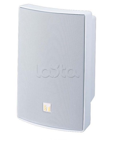 Громкоговоритель универсальный двухполосный TOA BS-1030W в Коврове Системы оповещения и трансляции TOA Pintop.ru