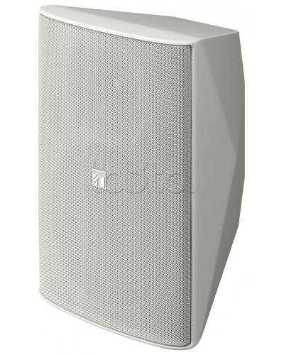 Громкоговоритель 2 полосный TOA F-2000 WTWP в Коврове Системы оповещения и трансляции TOA Pintop.ru