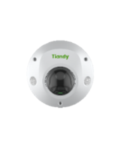 Купольная IP-камера Tiandy TC-C35PS Spec:I3/E/Y/M/H/4mm/V4.2 в Коврове IP-камеры Pintop.ru