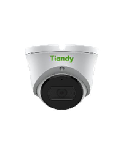 Уличная купольная IP-камера Tiandy TC-C35XS Spec:I3/E/Y/2.8mm/V4.0 в Коврове IP-камеры Pintop.ru