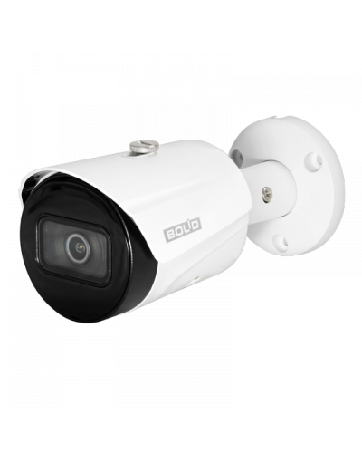 IP-камера видеонаблюдения в стандартном исполнении Болид VCI-122 в Коврове IP-камеры Pintop.ru