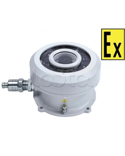 Видеокамера взрывозащищенная Компания СМД Орион МК ВК FishEye-А в Коврове Взрывозащищенные камеры Pintop.ru