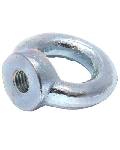 Рым-гайка М10 DIN 582 (50 шт/уп) Промрукав (PR08.3905) в Коврове Крепеж Pintop.ru