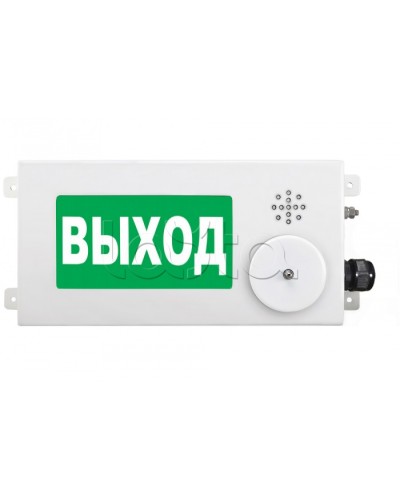 Табло световое взрывозащищенное Спектрон ТСВ-Exi-М-Прометей-МИНИ 12-36В в Коврове Оповещатели Ex Pintop.ru