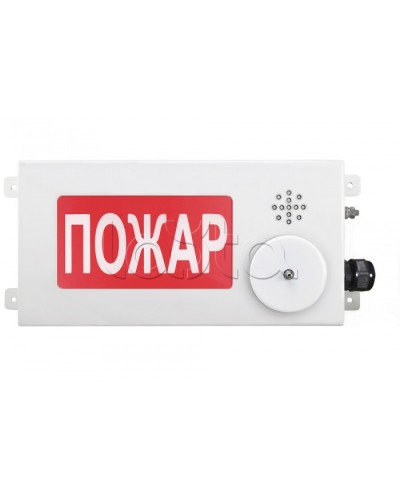 Табло светозвуковое взрывозащищенное Спектрон ТСЗВ-Exi-М-Прометей-МИНИ 12-36В в Коврове Оповещатели Ex Pintop.ru