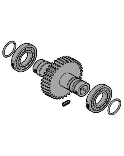 Вал выходной EMEGA Came 119RIE062 в Коврове Запчасти для шлагбаумов и автоматики Pintop.ru