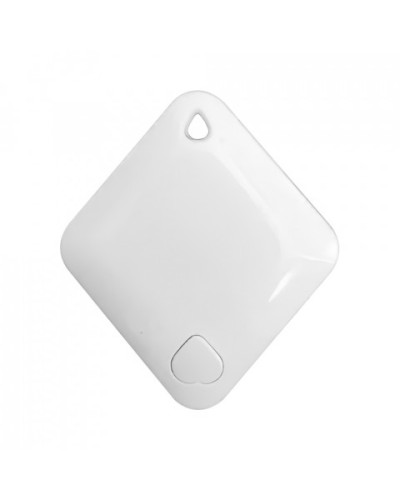 Брелок-идентификатор BLE ProxWay PW-Tag S1 W в Коврове Оптовые идентификаторы Pintop.ru